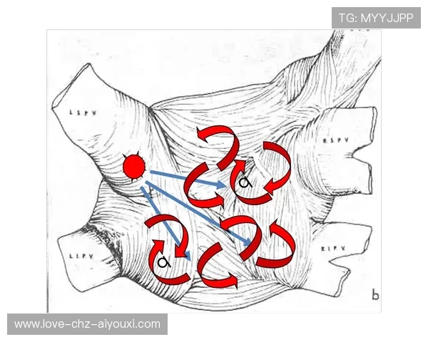 维拉中路传导连续制造威胁