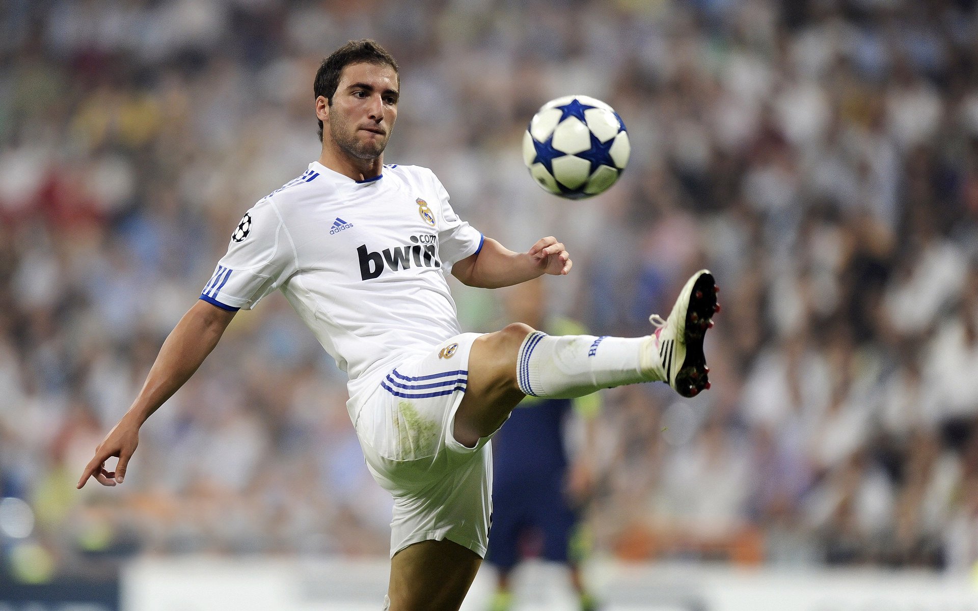 球迷文化对足球发展的影响